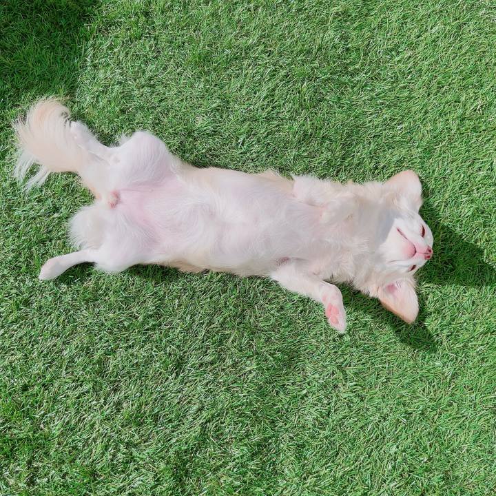 2d8d6a22 3d34 410d b910 3b2ed4cfaddf 1701349052241