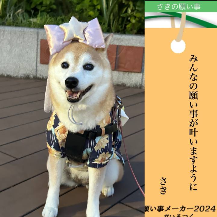 2d8d6ffa 420b 4111 8c82 a3ce0cfff8db 1720364823239