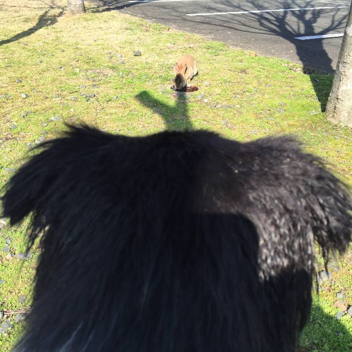 2d8d9060 ba3c 4858 80cc 48762cd7e7c6 1552294054757