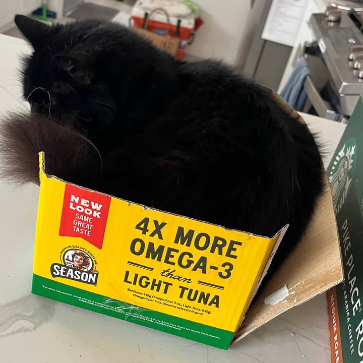 2d8dbabe 8676 4750 90b4 61bf30916008 1758480058536