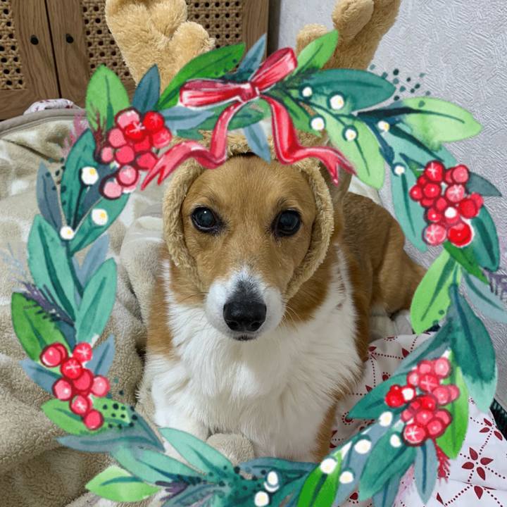 2d8dcecb 9002 4acd b2ca 028d6c95222d 1703418232915