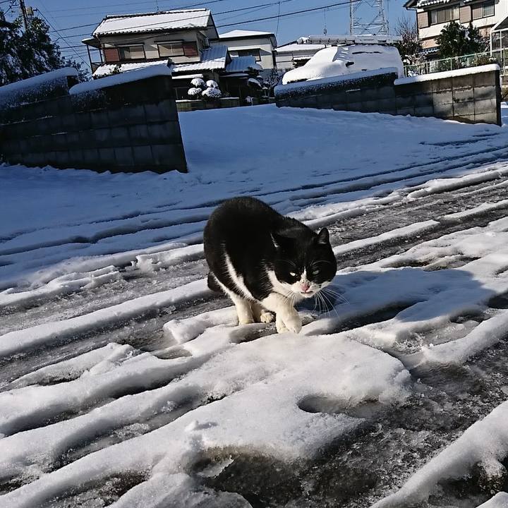 2d8dd766 d992 4269 bea7 dad3fcd3f91e 1516668329794