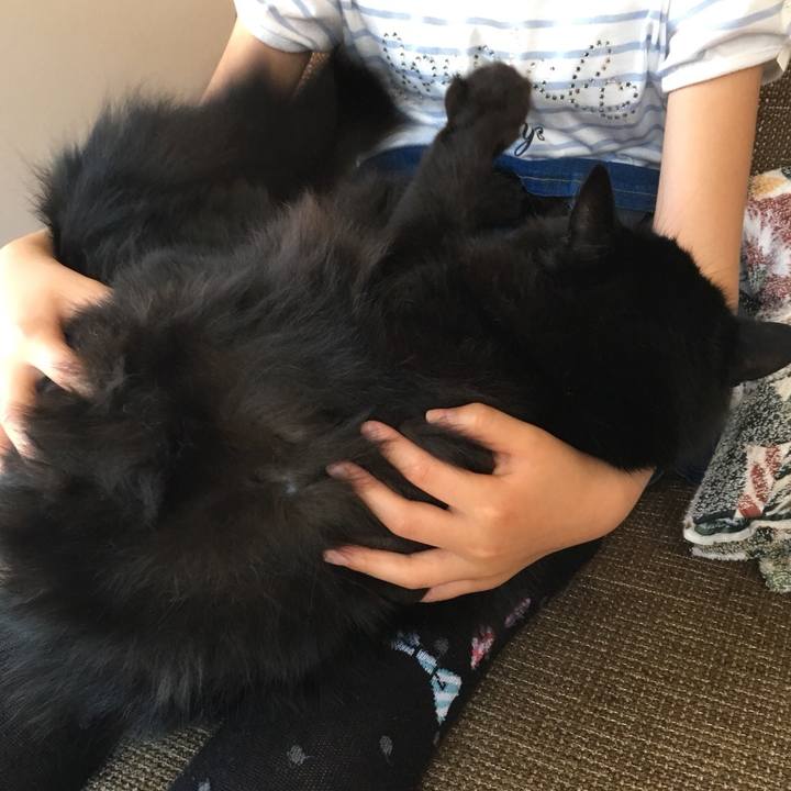 2d8de8ab 8e93 4fb2 90b3 a70860112723 1531268272246