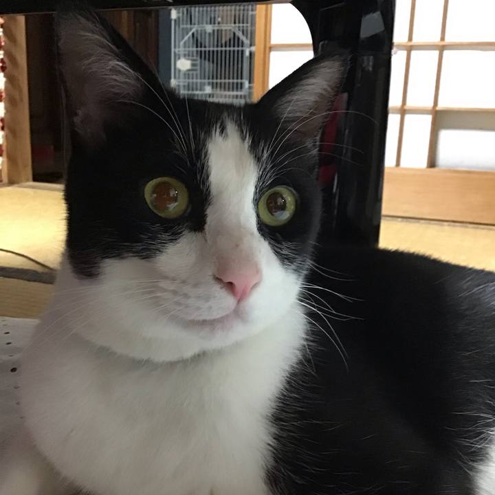 2d8df1b0 ca17 4840 a5d1 0ce4f59d1420 1687958001114