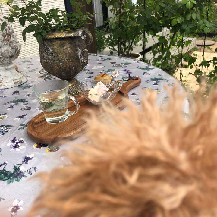 2d8e1f46 f4bf 4426 bcef 679a64ac1278 1652133672465