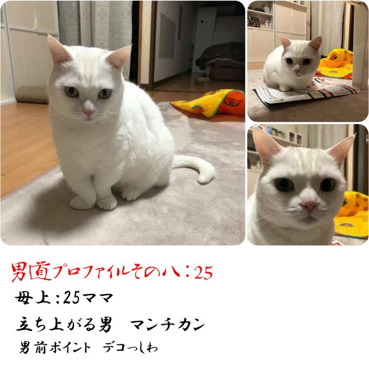 2d8e3db7 a11b 457a bd68 6ba83e0f61e4 1566136333745