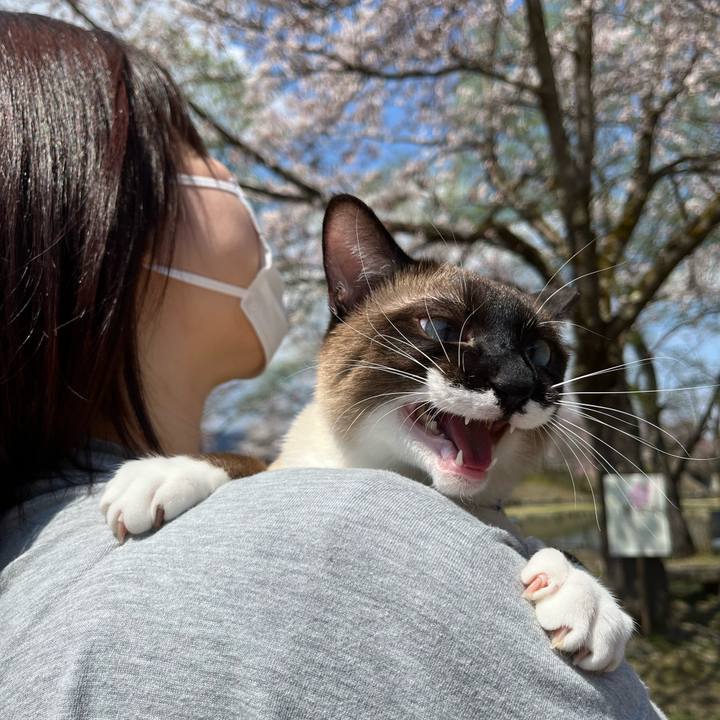 2d8e45b7 d511 426b a301 65cb6754a984 1712966500314