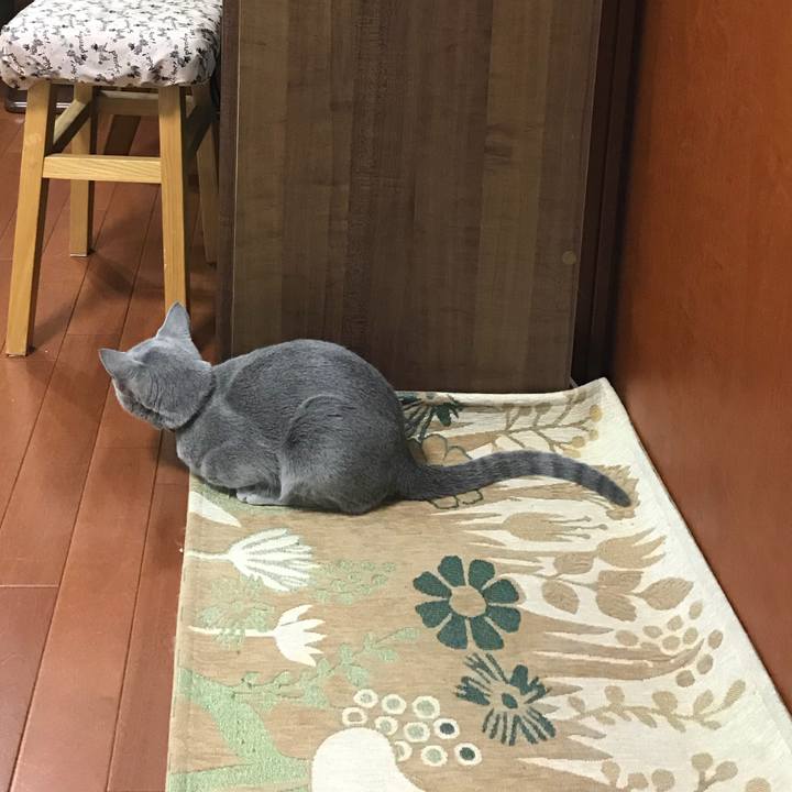 2d8e7702 d68d 4a90 b24f ae7f475cfd05 1510407123455