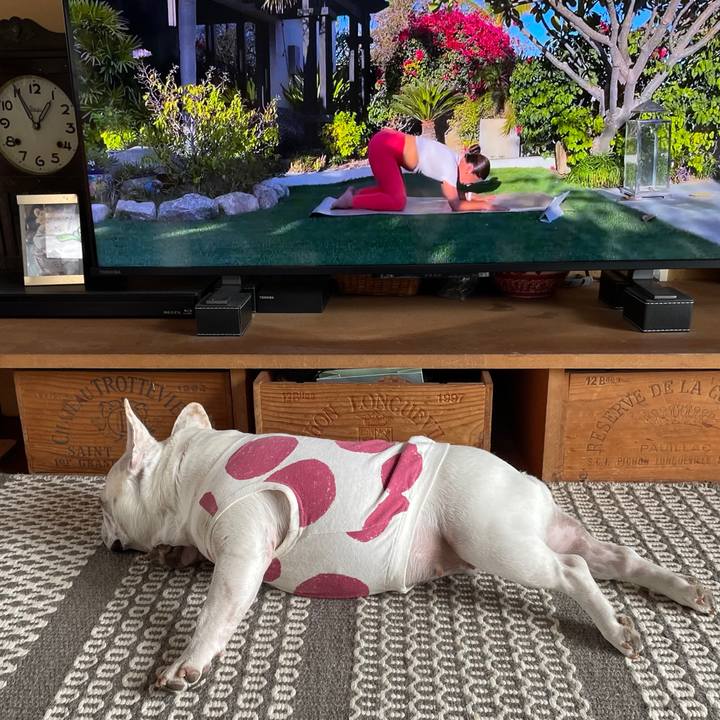 2d8ef628 a6d8 4bd3 90b9 ab14d2260e7f 1744341259203