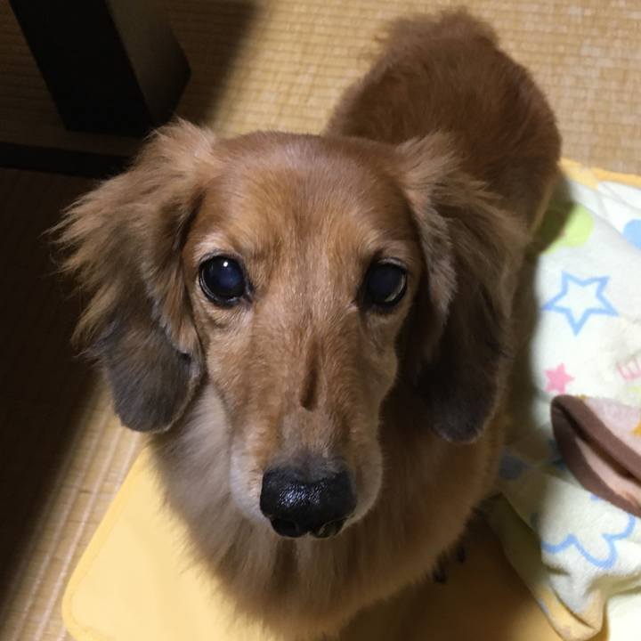 2d8f0ff6 df69 4ec8 8e35 84af4fe831b6 1602250844378