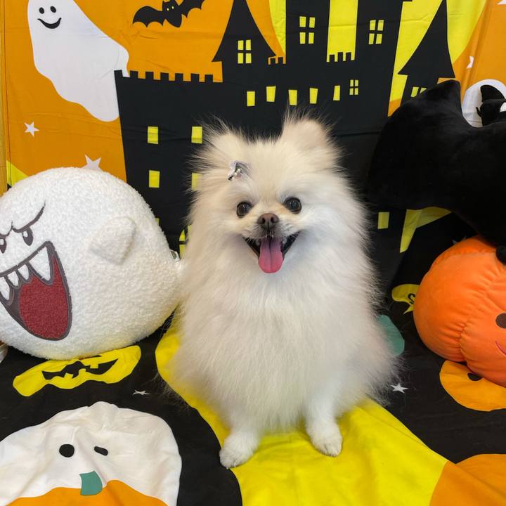 2d8f11b8 a219 45bd 87c7 d72ae91e40b3 1634876783046