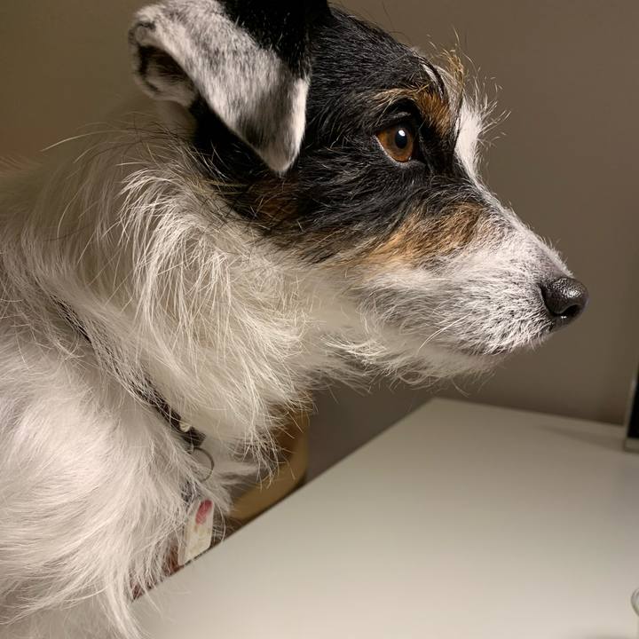 2d8f3626 28c6 45fe a381 df6d4ba51b94 1613125938665