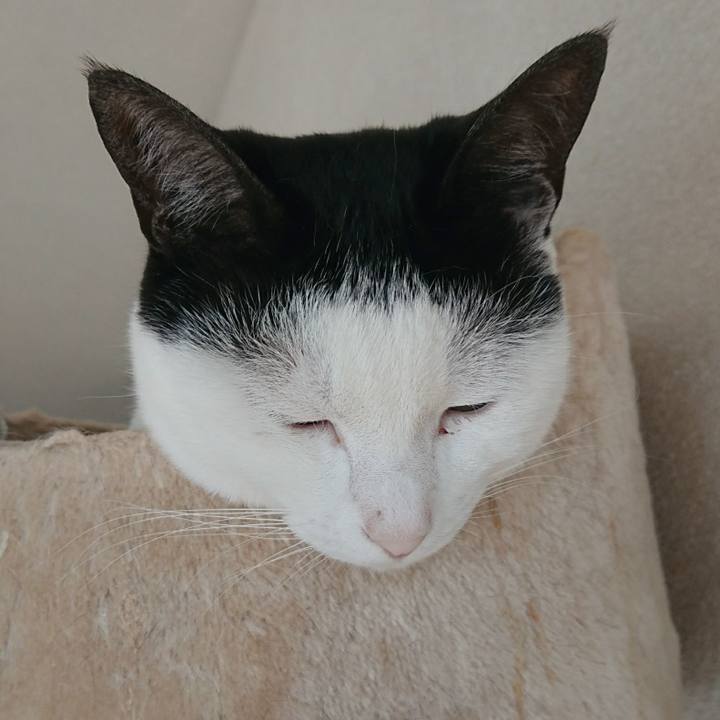 2d8f8e6a 2fca 4405 b2f5 1986b60c03e4 1518922849986