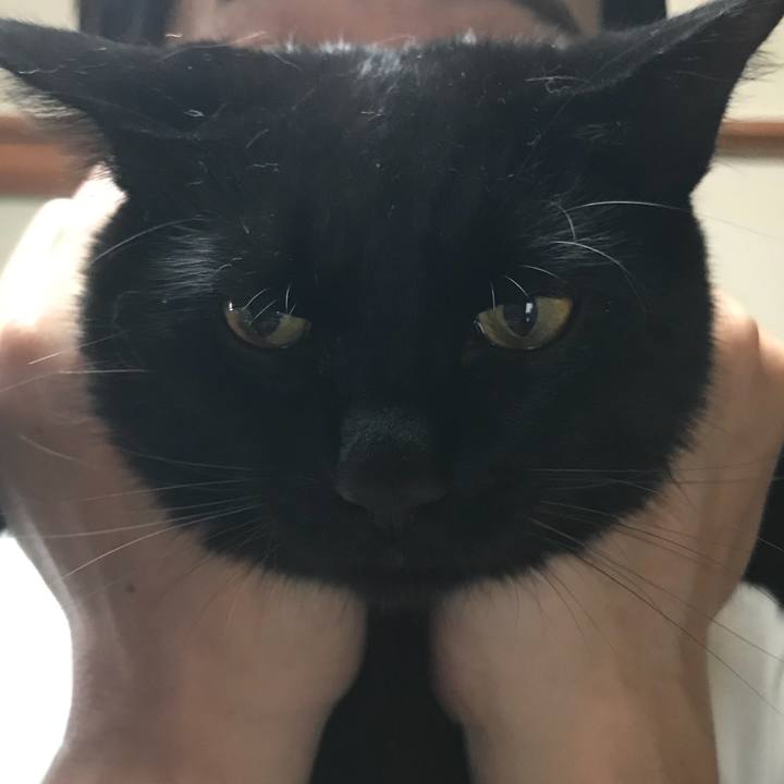 2d8f94aa 0b9f 41b5 a771 d2060dc4303d 1524496733966