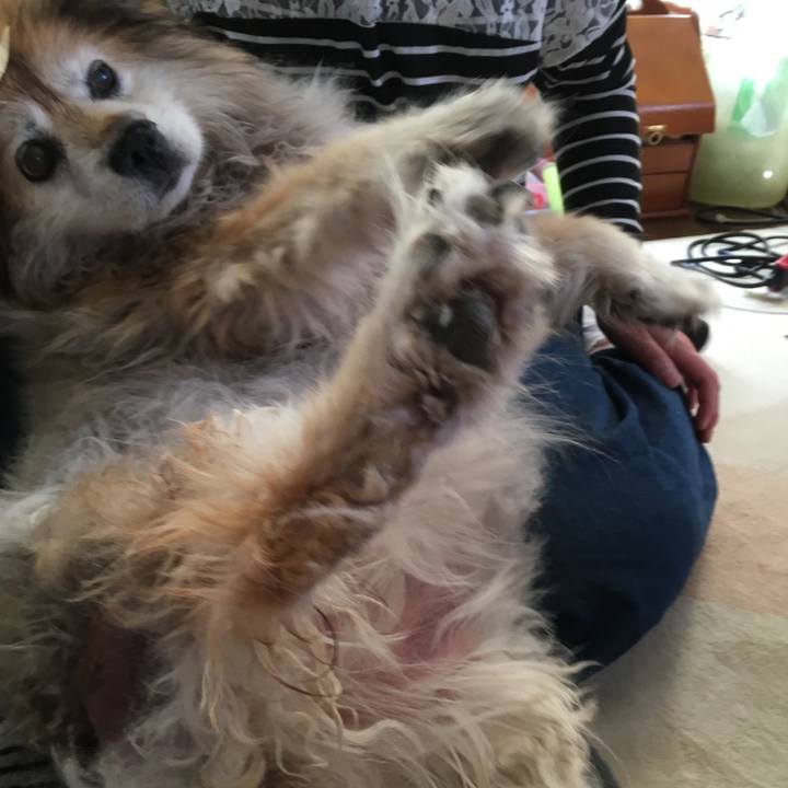 2d8fa913 47fa 4026 aa7e 5284f3ec801f 1601130025320