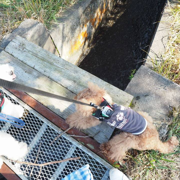 2d8fc01a 0200 48ba afc9 12299407f4f2 1509886587820