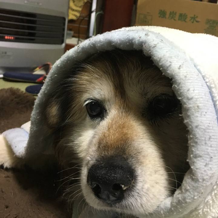 2d90305d c2ff 4aa4 be59 d5a7809fd344 1586566444254