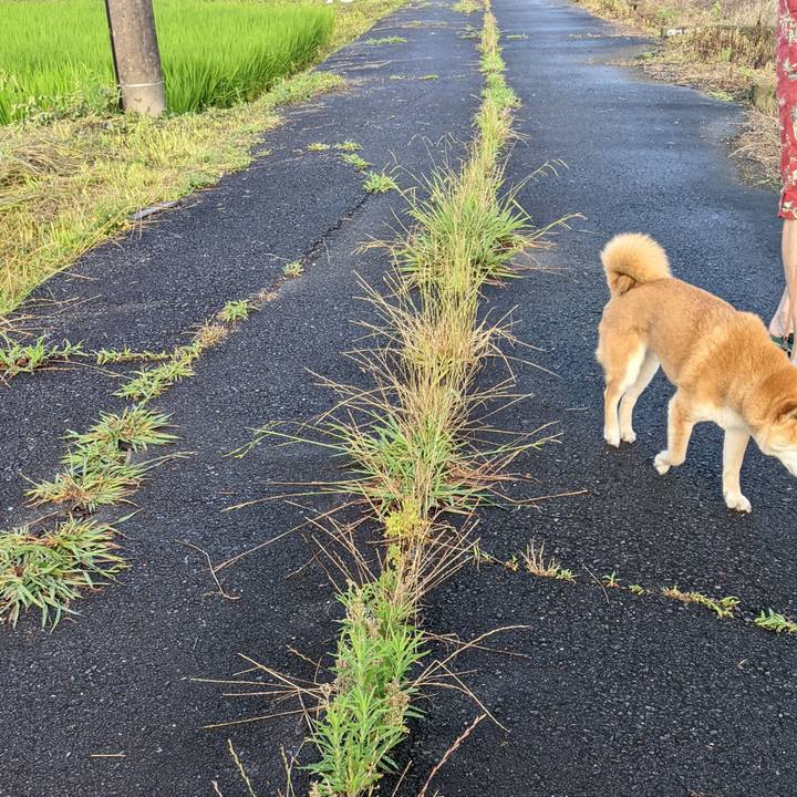 2d90ab79 cd71 4a9d beb9 f8c2aab788dc 1719193977355