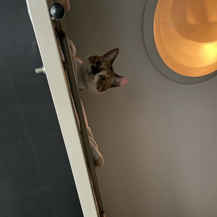 2d910861 0042 44b6 b08e badc588b32cf 1720563154145