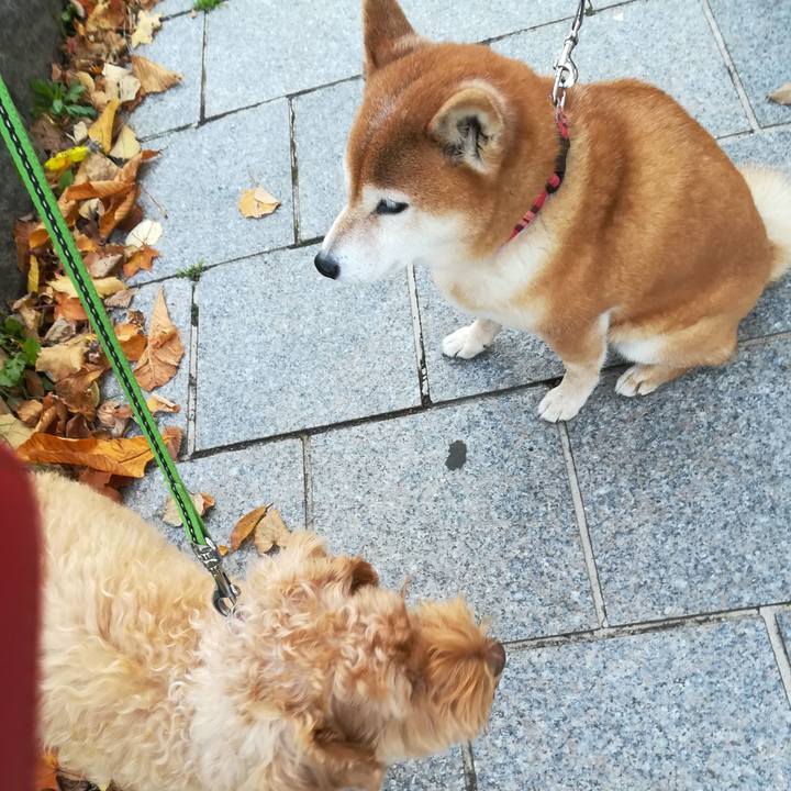 2d910e56 1c11 45ee 9529 13baef29cfe3 1571871131182