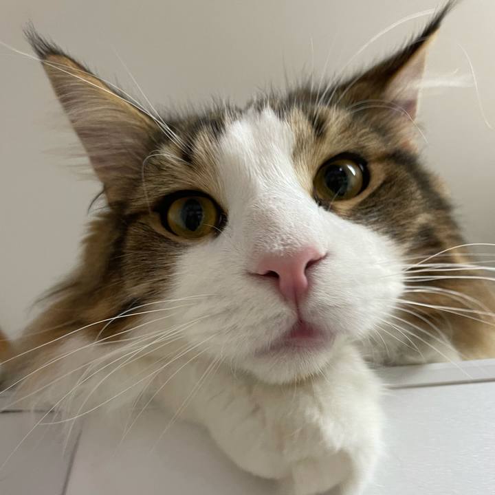 2d911061 6326 44cd ba00 f3490d1722ca 1644012082063