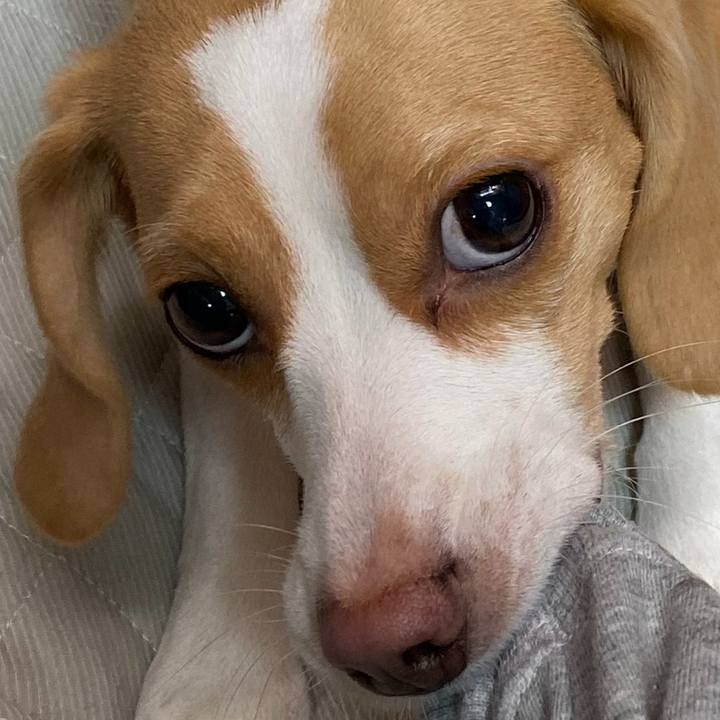 2d912463 4b6e 4b3c be70 b13b14d49d75 1724778886010