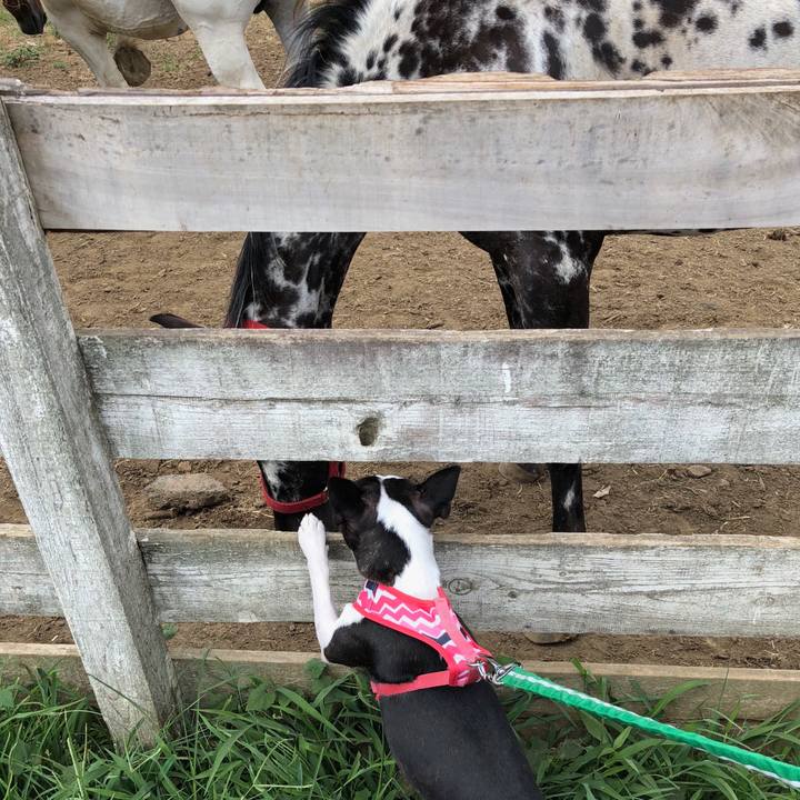 2d913046 bb45 4de1 a5b6 fce9da5bd3df 1532674446555