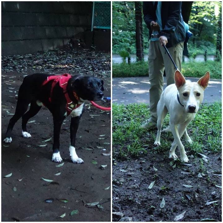 2d9140e9 f918 45b1 912b 2a4f1468b87b 1592612265494