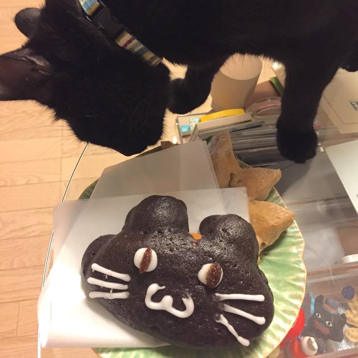 2d916671 6921 44b3 96af 52f76f9ad2c5 1507725301688