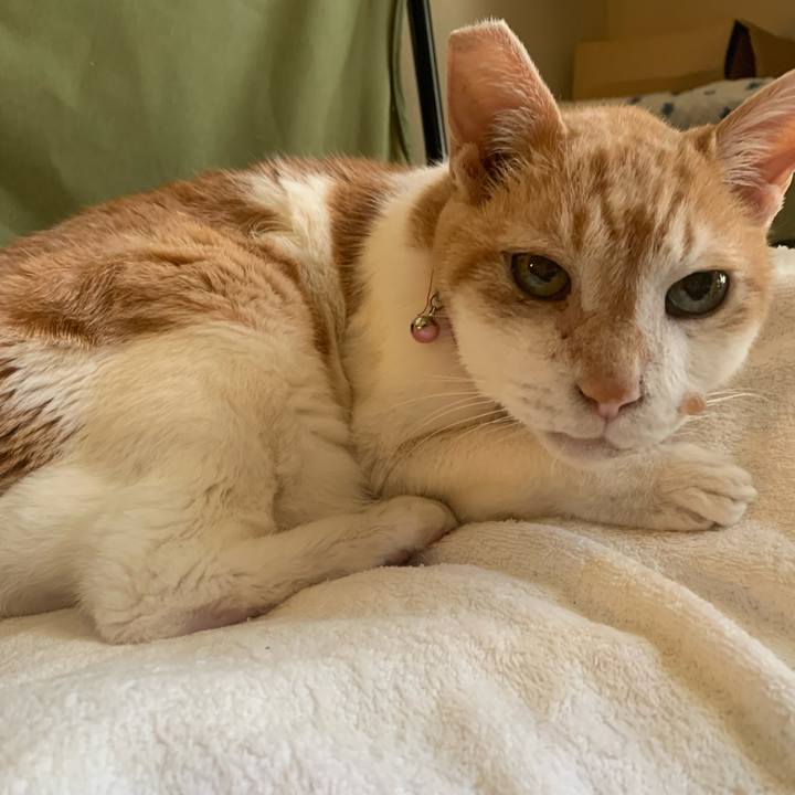 2d916e32 2540 4357 a963 5e8289a21492 1654126461637