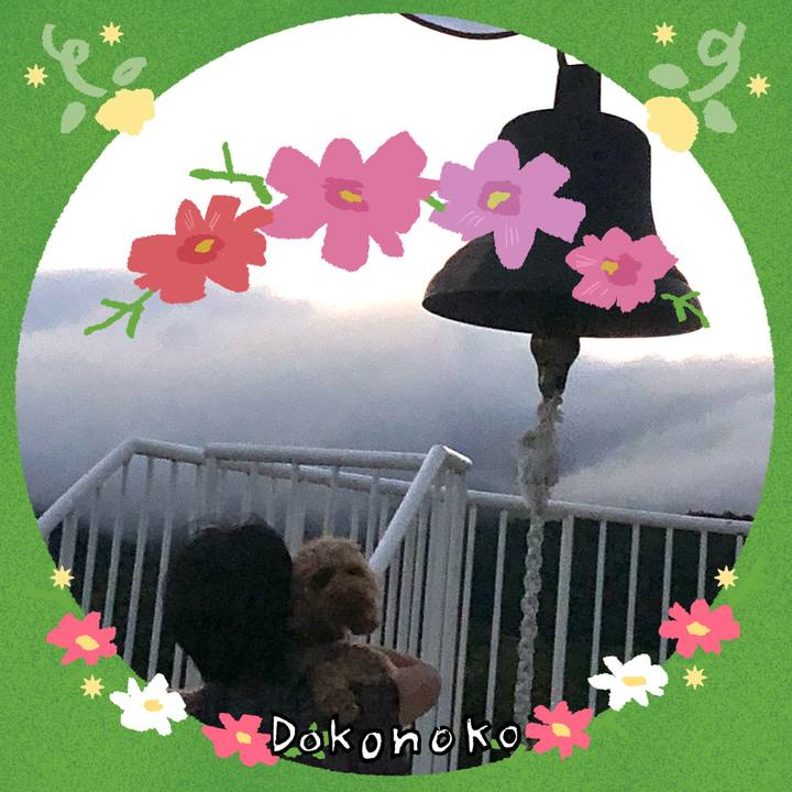 2d91b39b c553 4f32 aa7e e5c19949342f 1727008804269