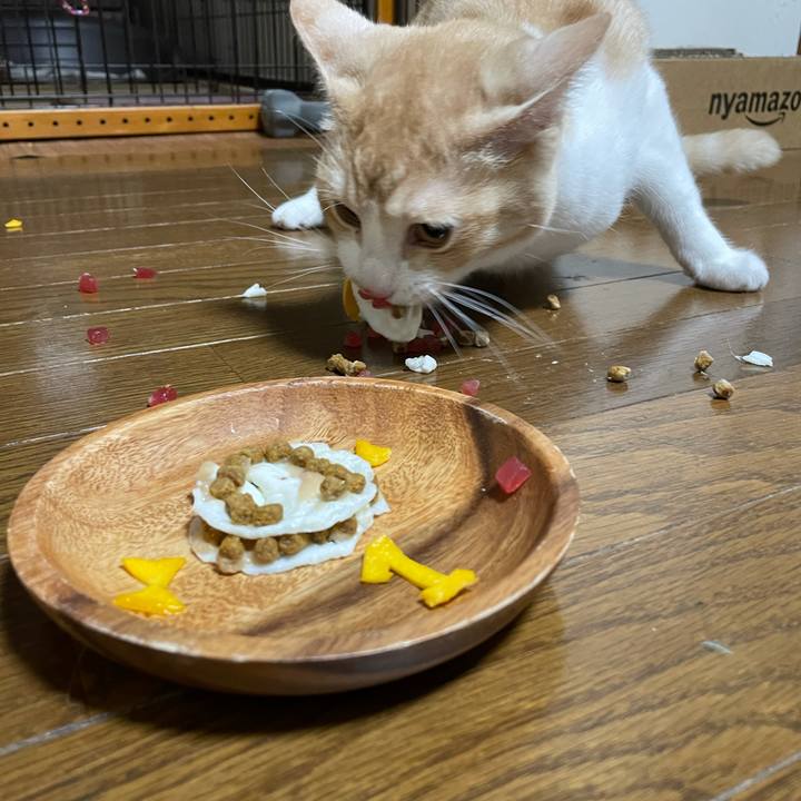 2d91f234 3b5f 4bf6 a81a 20af3fd0ac43 1614776188868