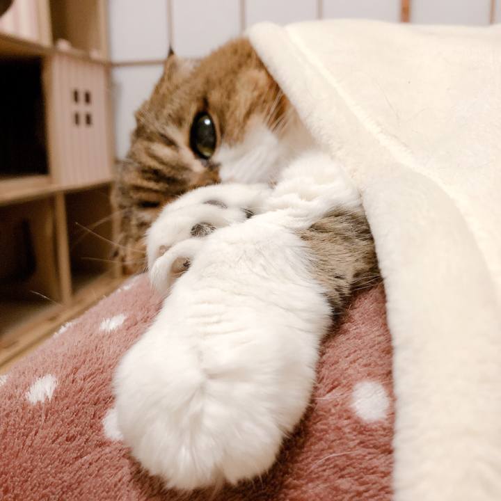 2d920d6f 969b 4c81 8ee3 c6e1873b4fcc 1606791483413