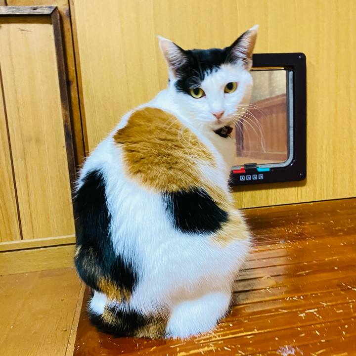 2d922769 7d94 4198 b6b6 b7da7849782a 1671022444736