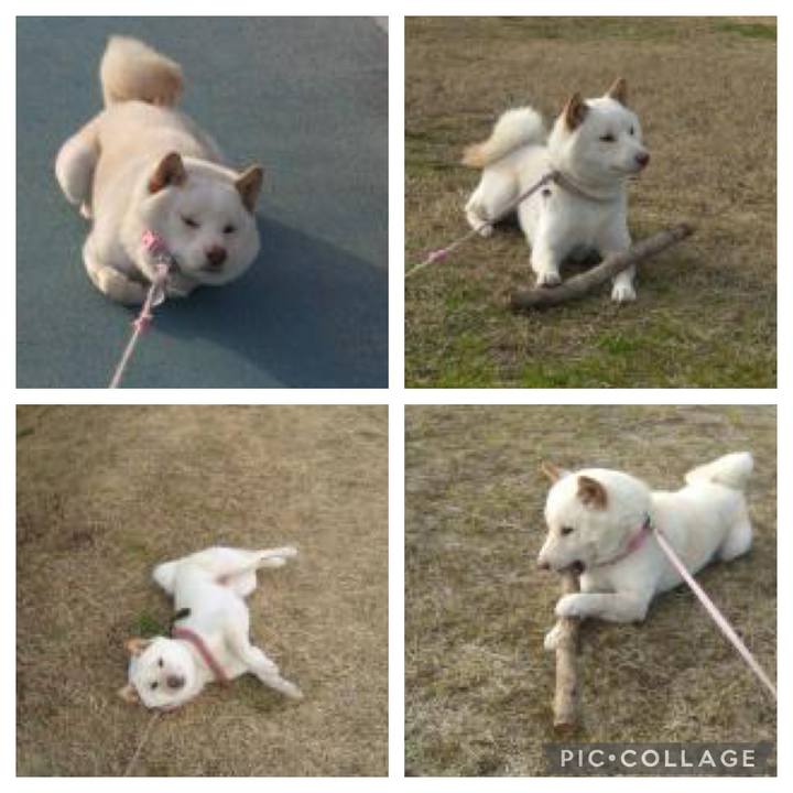 2d925de5 39ca 4259 a737 81521b67e577 1648614686821