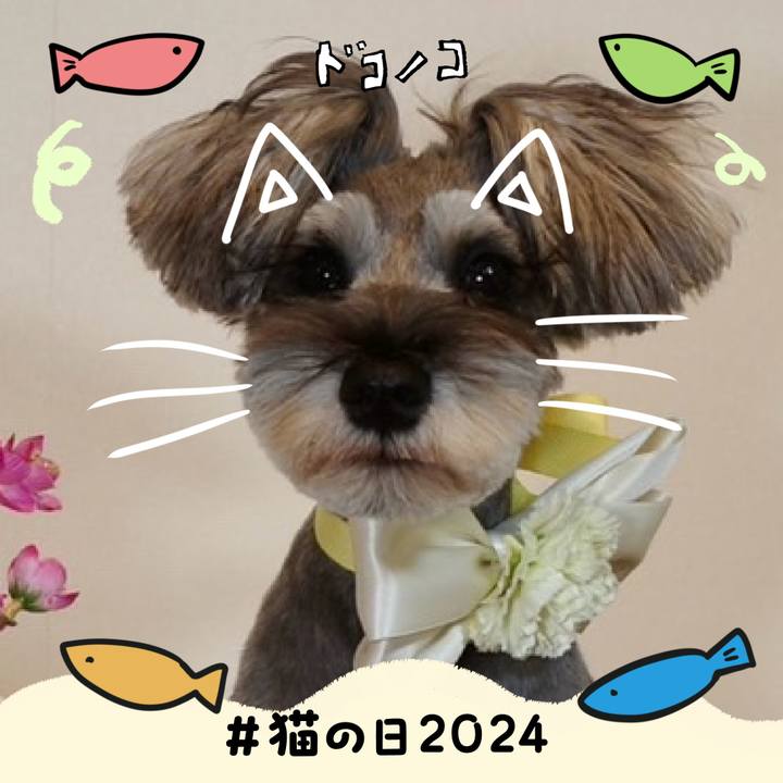 2d92742e 4c53 4c6a a4c2 b58fce57b495 1708585277795