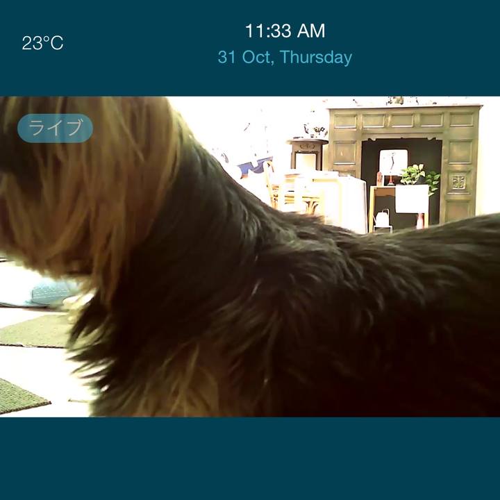 2d928175 dc92 47d5 80d1 1355d3dacafd 1730452360894