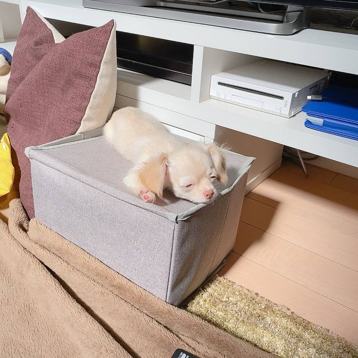 2d92a97e 4907 46c1 8d83 6bb0d558f835 1591745885165