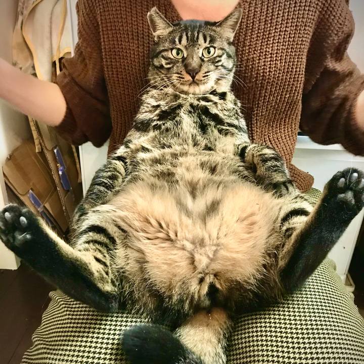 2d92c3b1 3fe7 48ed af37 379a410b17a2 1575809094716