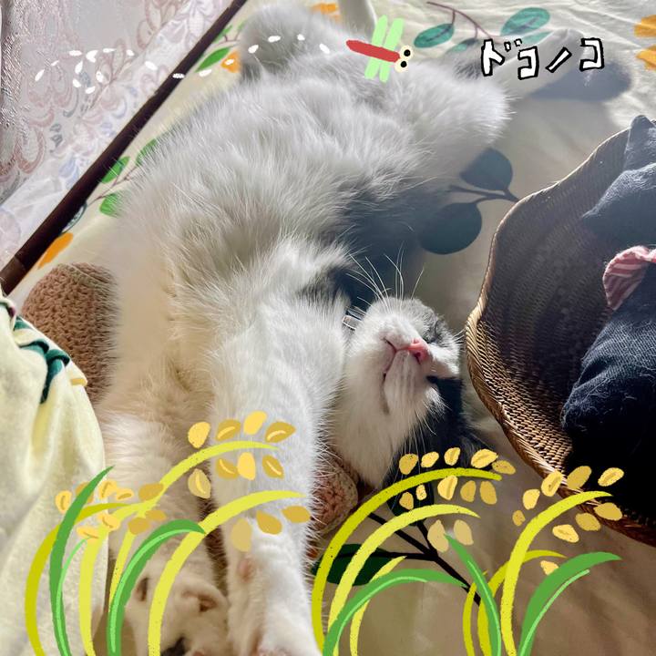 2d92def2 c37a 43ec 9e4b 61ca0c9bd807 1762321991329