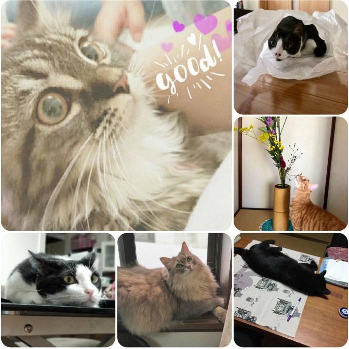 2d92e119 8962 4314 8ad4 f0d02d706e53 1567499549803