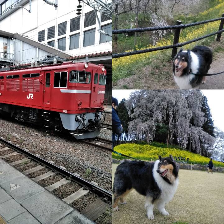 2d930364 d2d9 4a97 91ed 0c4110c91f4a 1523720130617