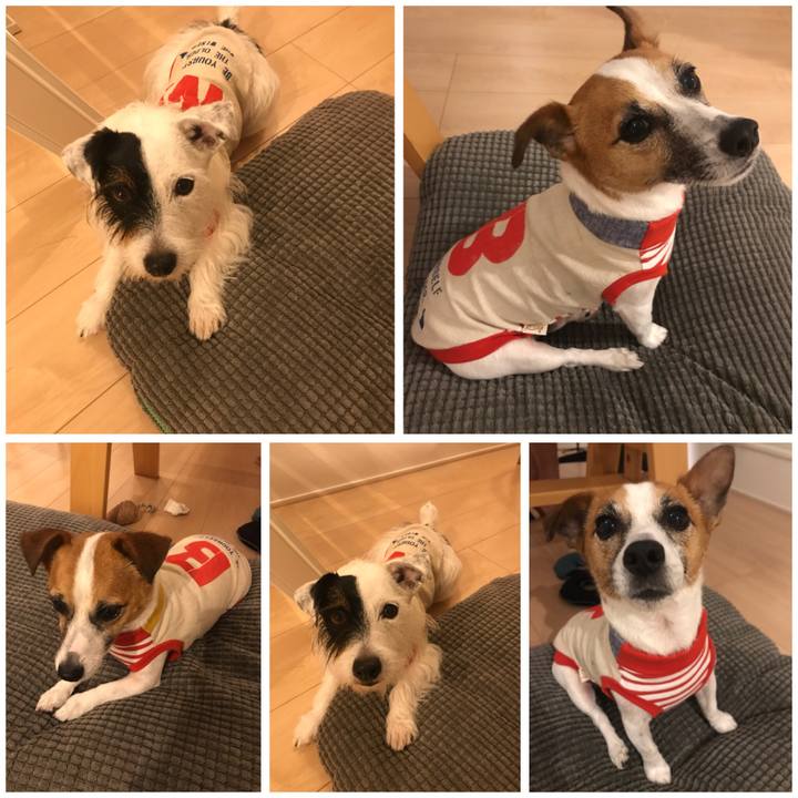 2d931ab2 35c0 424c 9c1d 334cffb3abac 1531653398558