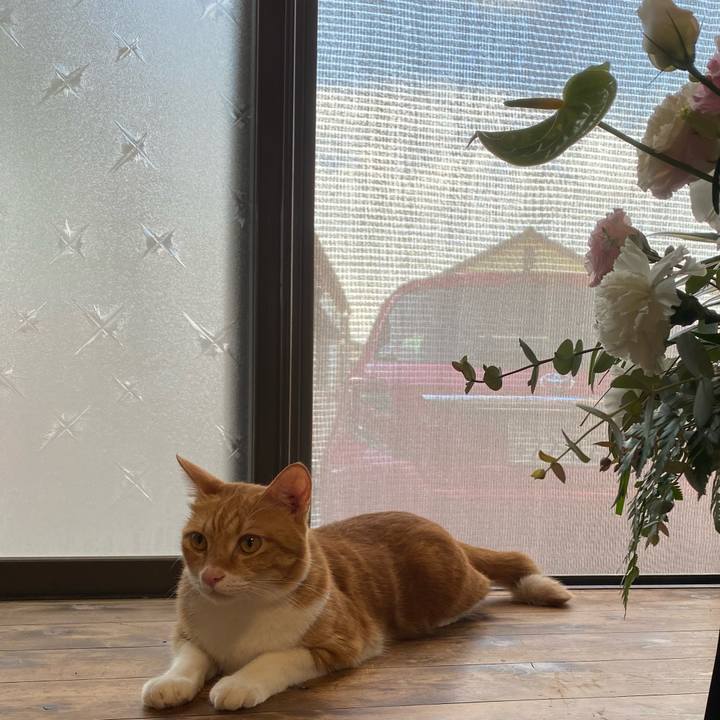 2d936b5c dcd6 490b 91dc 242ec9379a95 1662244626356