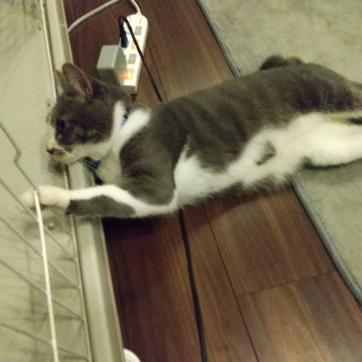 2d93cbb7 153a 4720 92bc cfc765c48a55 1598627064649