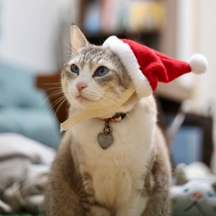 2d942505 9047 40b5 95b2 3631d44c279d 1671844722280