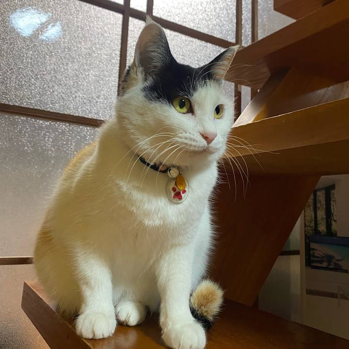 2d943165 347e 4cc7 a521 435ceb1731e4 1647637373796