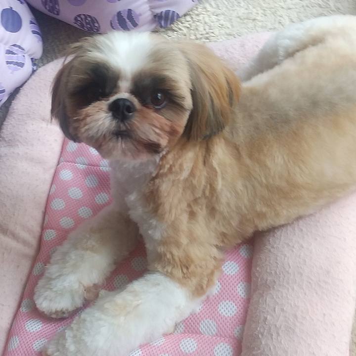 2d94463f ba55 4459 9ad9 558fd6ab1fe1 1596877979559