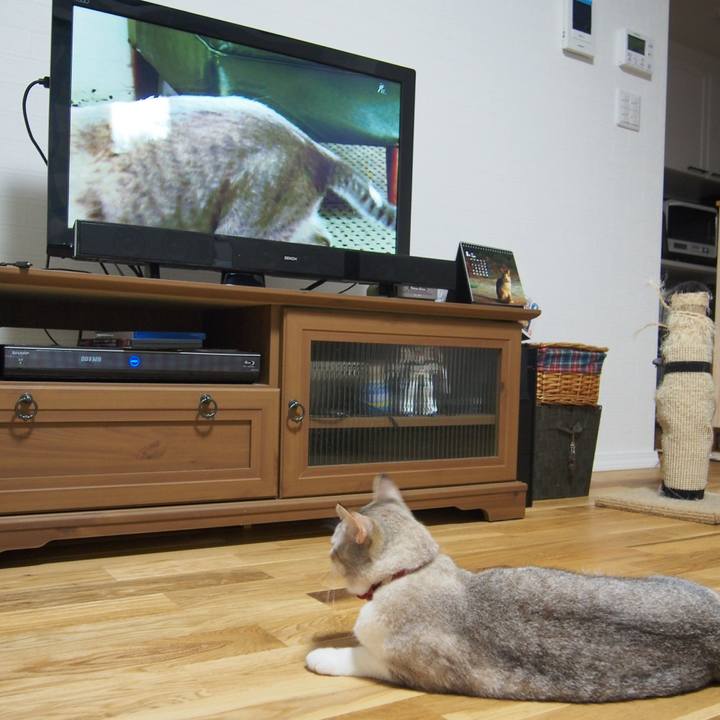 2d9460ef a259 4c7a bb65 993fb8de982f 1569726210170