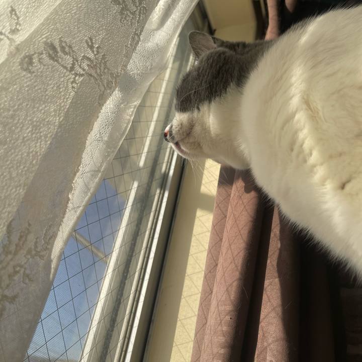 2d94c289 8ce0 4ef5 9d94 44995bea1ee7 1703115370477